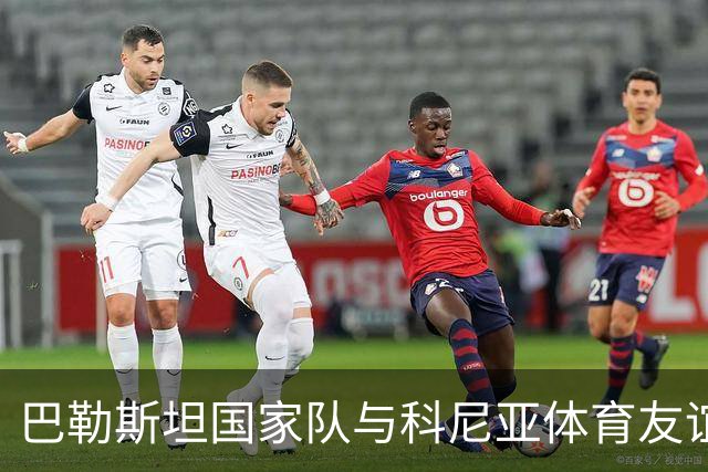 巴勒斯坦国家队与科尼亚体育友谊赛落幕